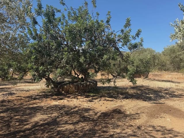 Bauplatz zu verkaufen in Roquetes - 73.000 € (Ref: 10090082)