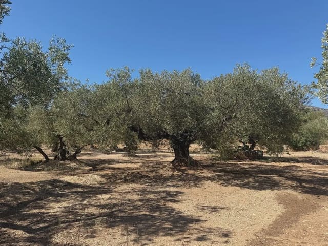 Bauplatz zu verkaufen in Roquetes - 73.000 € (Ref: 10090082)