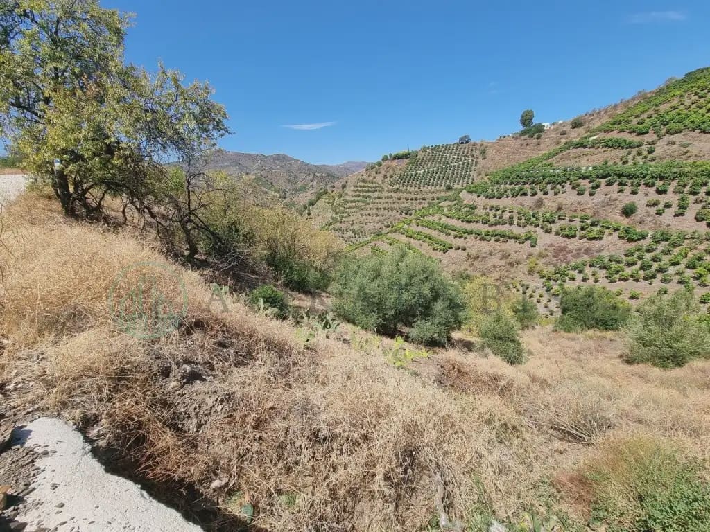 Ubebygd land til salgs i Benamargosa - € 11 000 (Ref: 10041426)