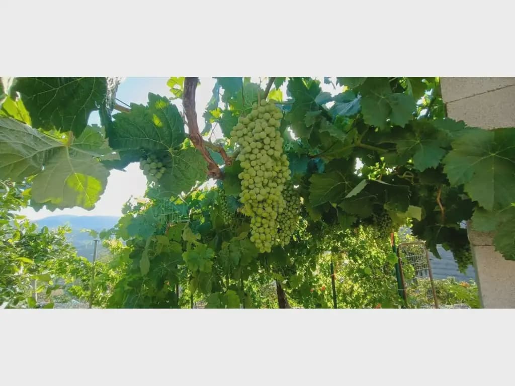Finca/Maison de Campagne à vendre à Benamargosa - 225 000 € (Ref: 10042346)