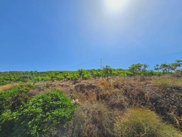 Finca/Maison de Campagne à vendre à Benamargosa - 225 000 € (Ref: 10042346)