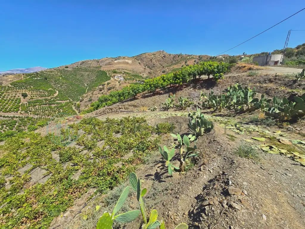 Finca/Maison de Campagne à vendre à Benamargosa - 225 000 € (Ref: 10042346)