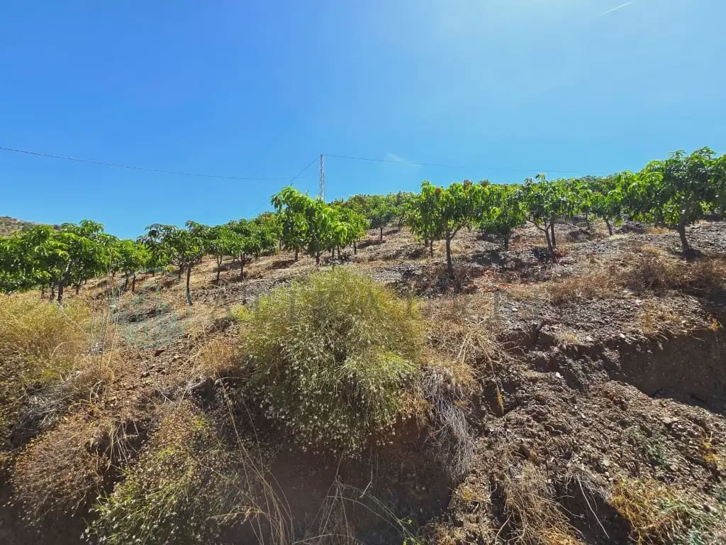 Finca/Maison de Campagne à vendre à Benamargosa - 225 000 € (Ref: 10042346)