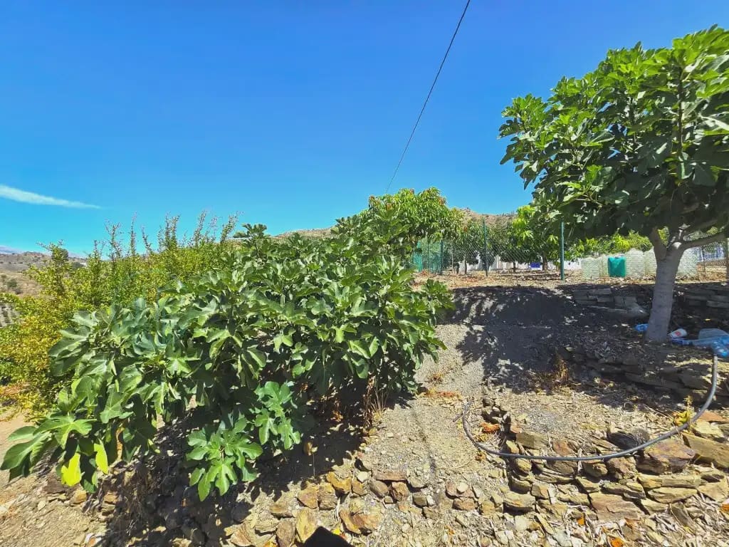 Finca/Maison de Campagne à vendre à Benamargosa - 225 000 € (Ref: 10042346)