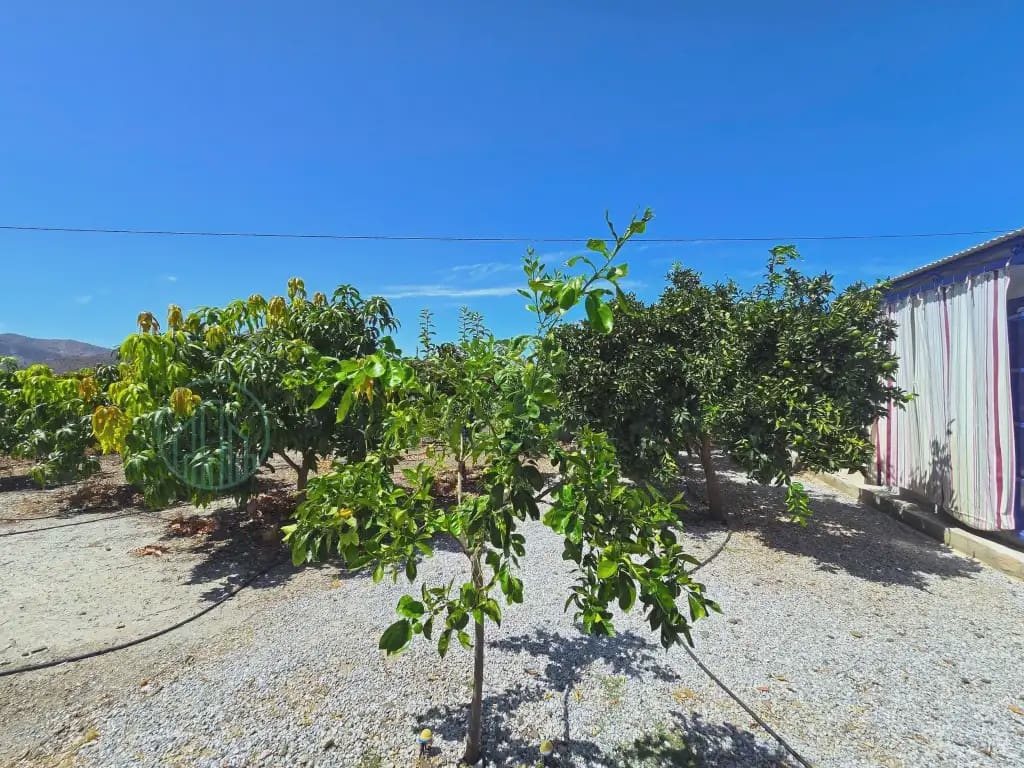 Finca/Maison de Campagne à vendre à Benamargosa - 225 000 € (Ref: 10042346)