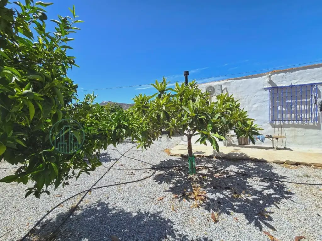 Finca/Maison de Campagne à vendre à Benamargosa - 225 000 € (Ref: 10042346)