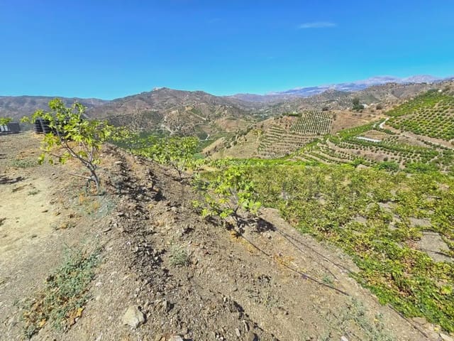 Finca/Maison de Campagne à vendre à Benamargosa - 225 000 € (Ref: 10042346)