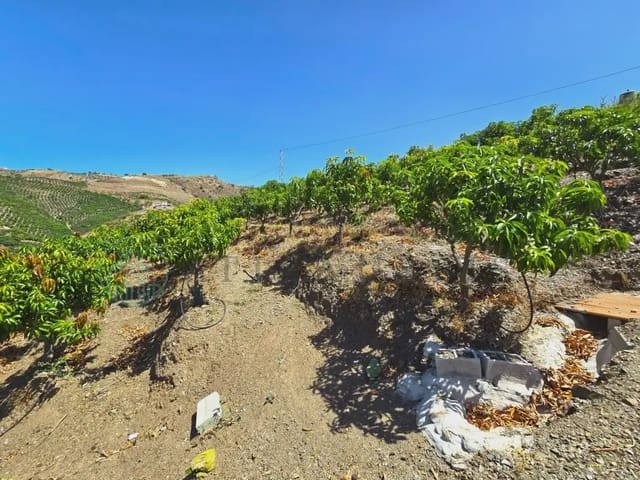 Finca/Maison de Campagne à vendre à Benamargosa - 225 000 € (Ref: 10042346)