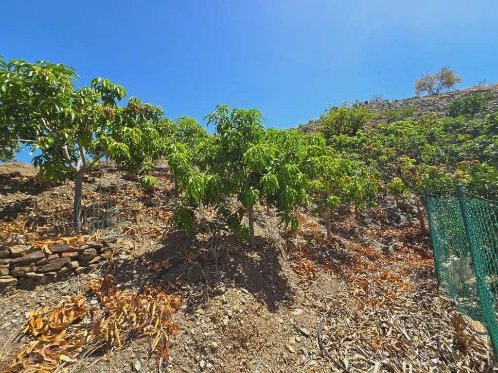 Finca/Maison de Campagne à vendre à Benamargosa - 225 000 € (Ref: 10042346)