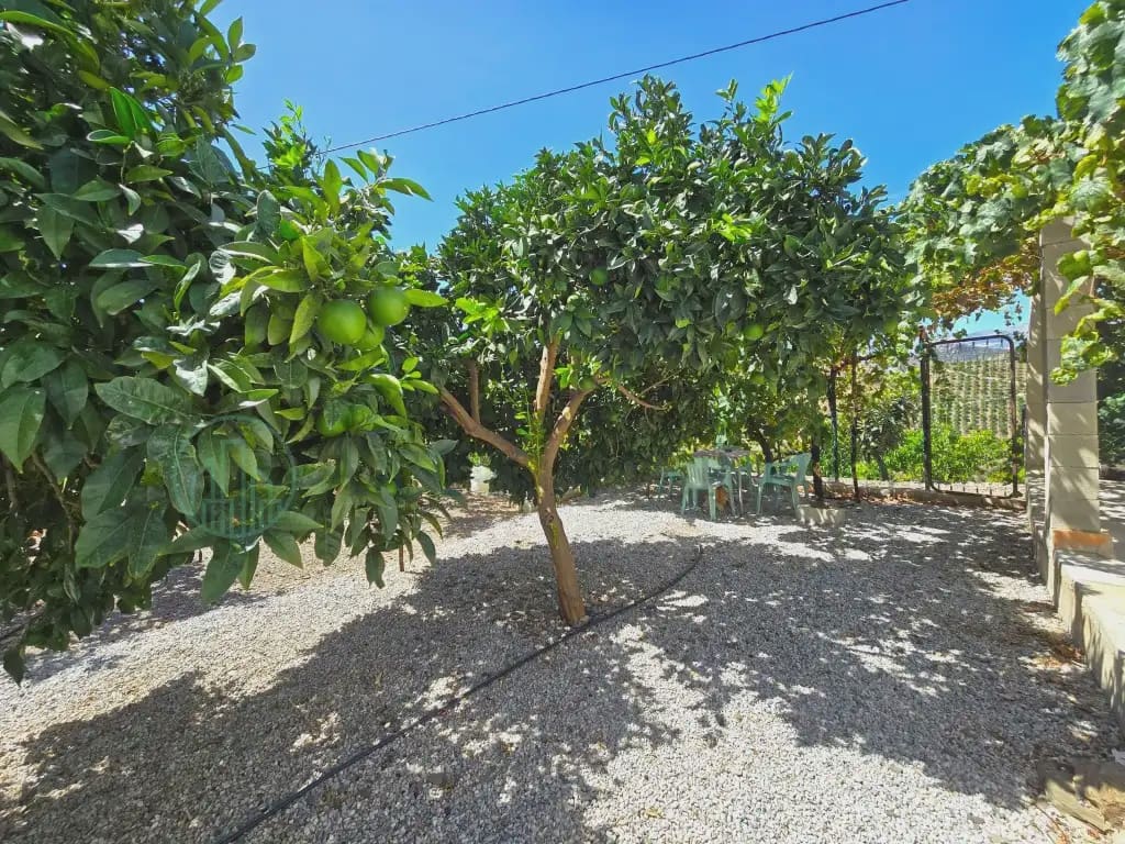 Finca/Maison de Campagne à vendre à Benamargosa - 225 000 € (Ref: 10042346)