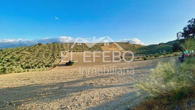 Grunde uden byggetilladelser til salg i Antequera - € 99.900 (Ref: 10045346)