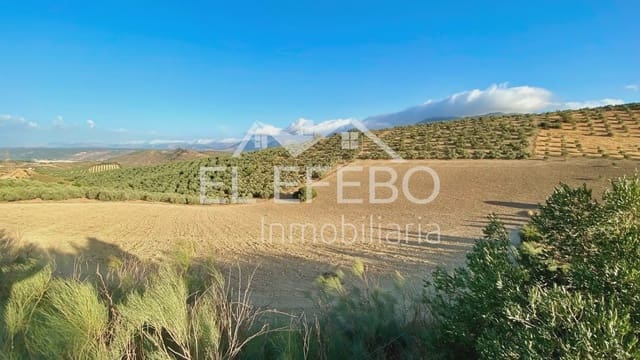 Grunde uden byggetilladelser til salg i Antequera - € 99.900 (Ref: 10045346)