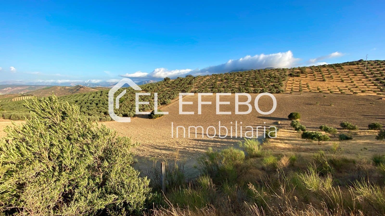 Grunde uden byggetilladelser til salg i Antequera - € 99.900 (Ref: 10045346)