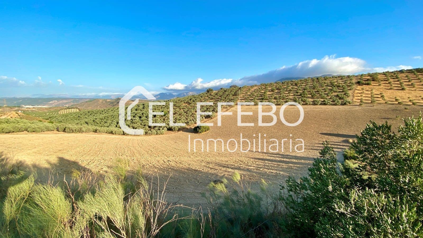 Grunde uden byggetilladelser til salg i Antequera - € 99.900 (Ref: 10045346)