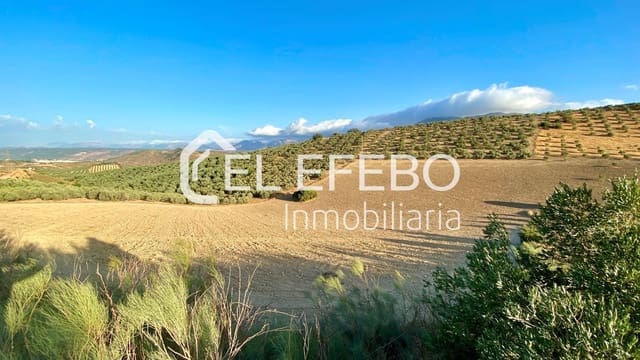Terreno/Finca Rústica en Antequera en venta - 99.900 € (Ref: 10045346)