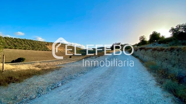 Terreno/Finca Rústica en Antequera en venta - 99.900 € (Ref: 10045346)