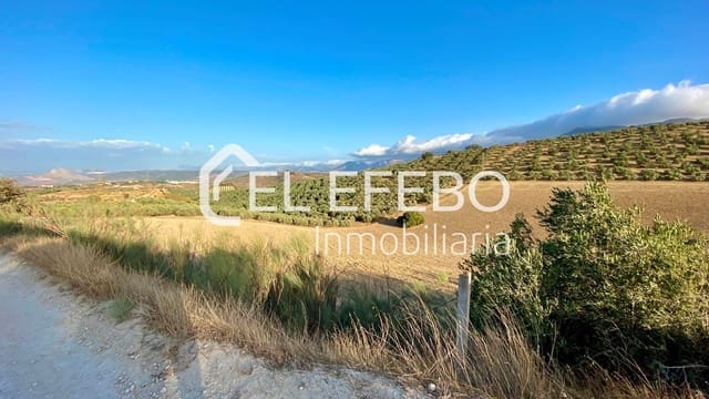 Terreno/Finca Rústica en Antequera en venta - 99.900 € (Ref: 10045346)