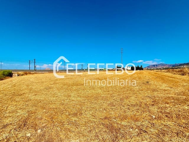 Terre non Aménagée à vendre à Antequera - 59 000 € (Ref: 10045354)
