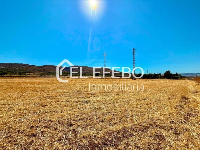 Terre non Aménagée à vendre à Antequera - 59 000 € (Ref: 10045354)