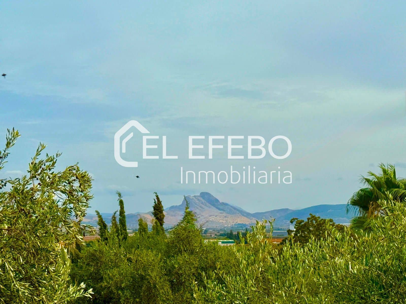 3 sovrum Villa till salu i Antequera med pool garage - 489 000 € (Ref: 10045355)