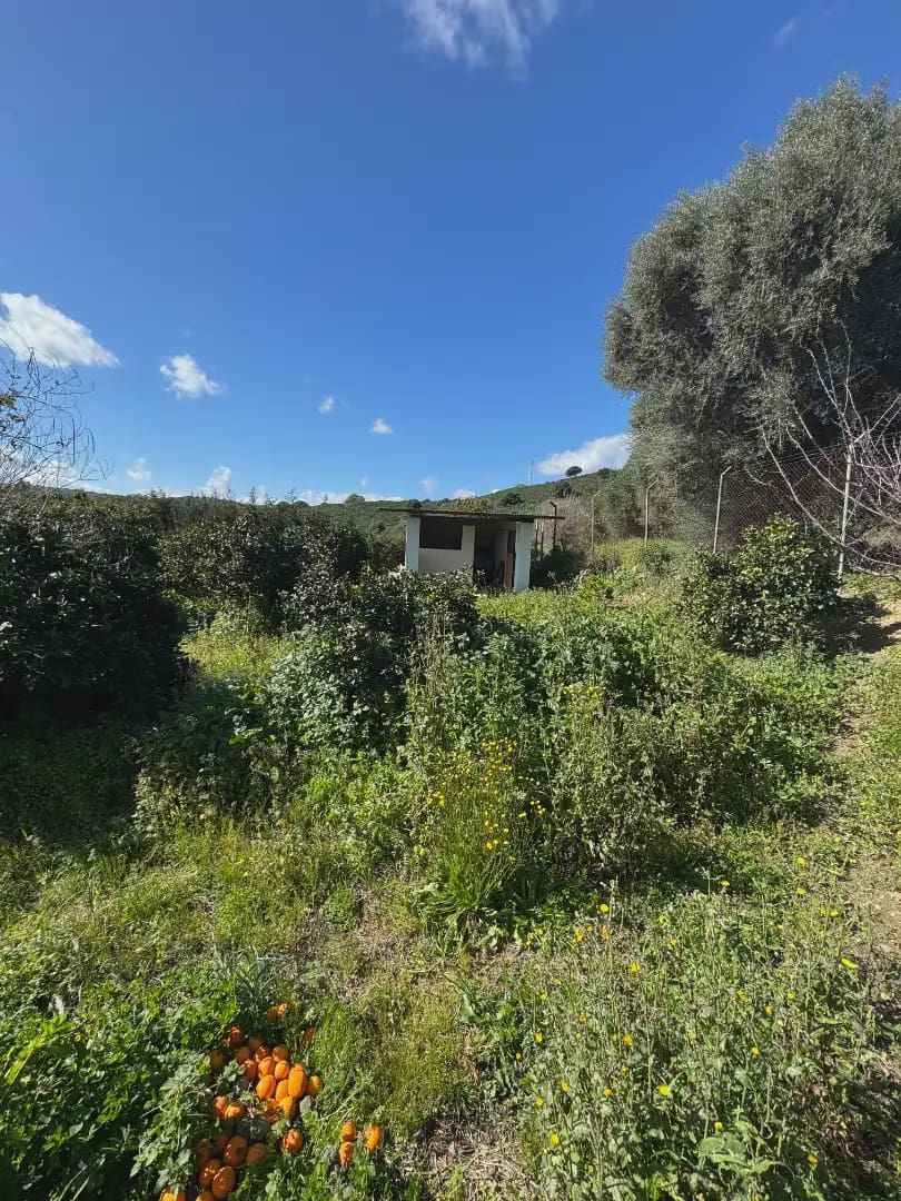 Finca/Casa di Campagna in vendita in Algeciras - 650.000 € (Rif: 10016636)
