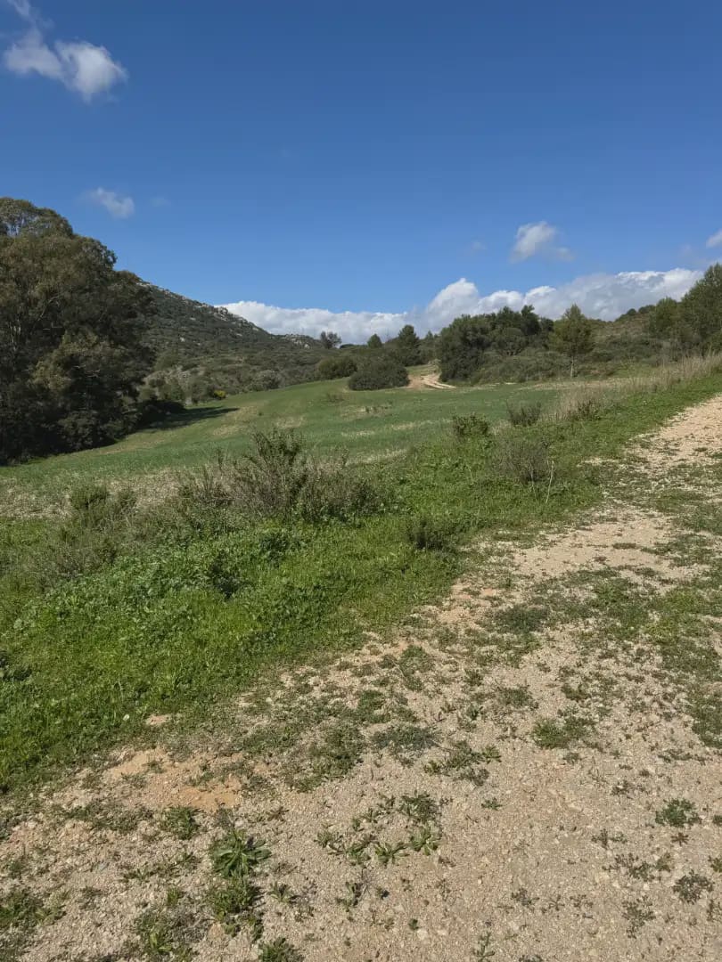Finca/Landehus til salg i Manilva - € 1.300.000 (Ref: 10016639)