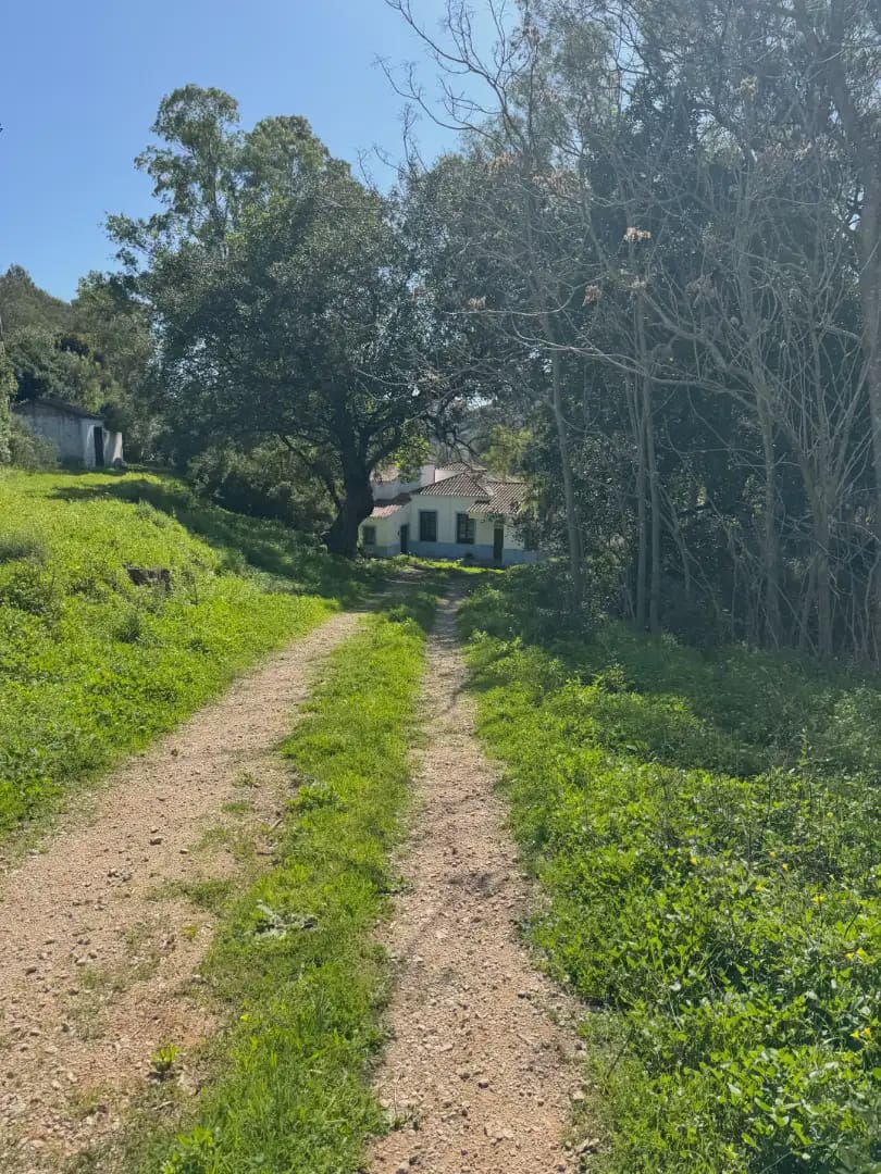 Finca/Landehus til salg i Manilva - € 1.300.000 (Ref: 10016639)