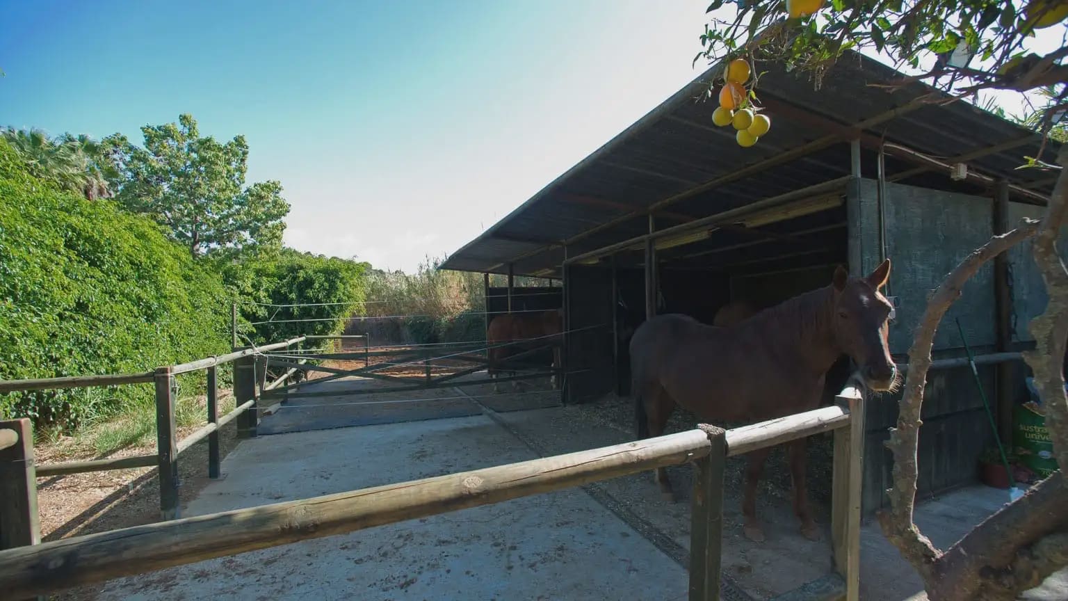 Finca/Landhuis te koop in Cancelada - € 799.000 (Ref: 10016641)