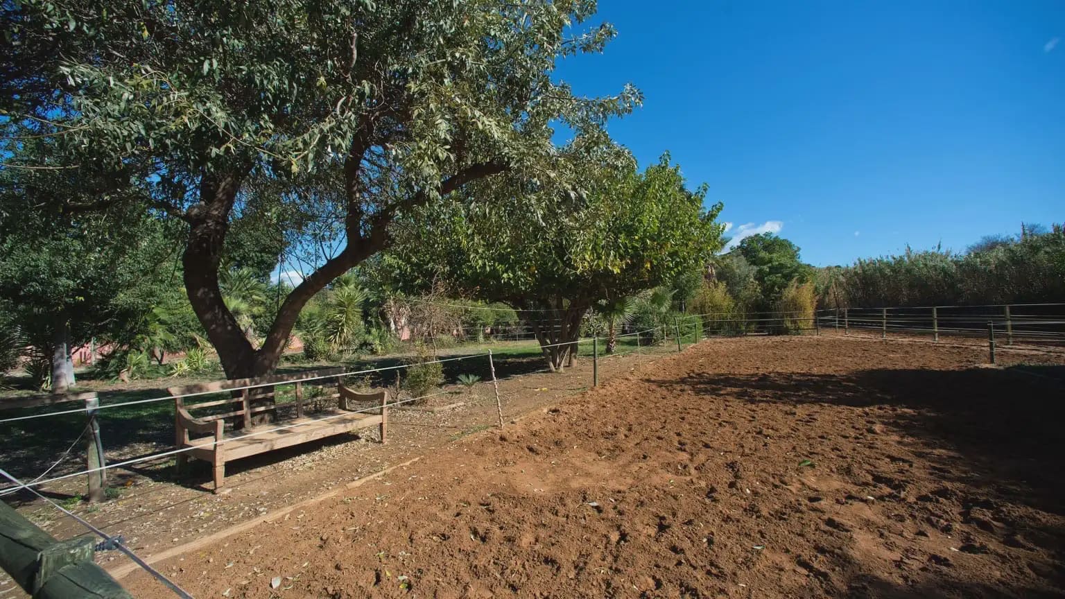 Finca/Landhuis te koop in Cancelada - € 799.000 (Ref: 10016641)