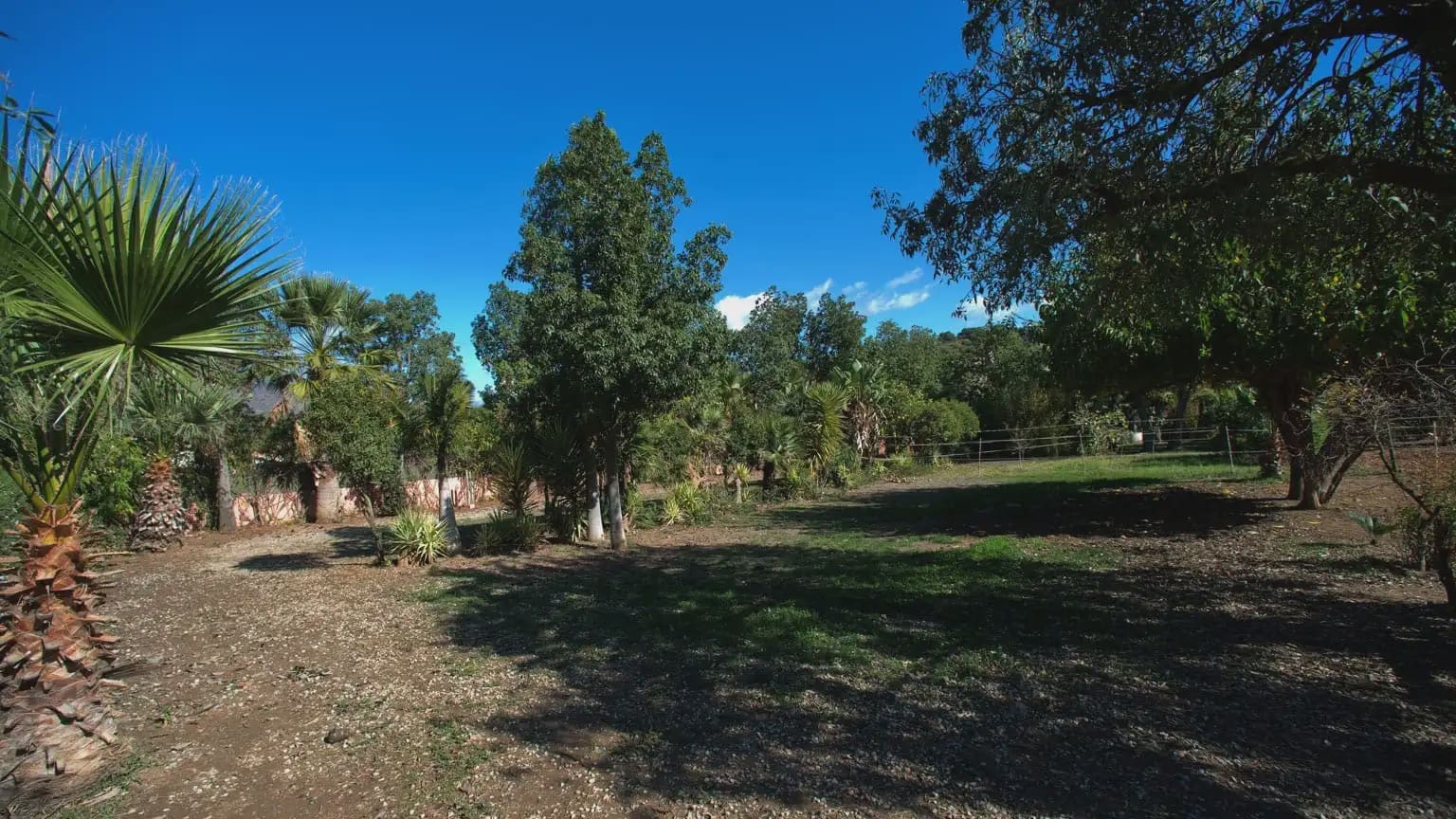 Finca/Landhuis te koop in Cancelada - € 799.000 (Ref: 10016641)