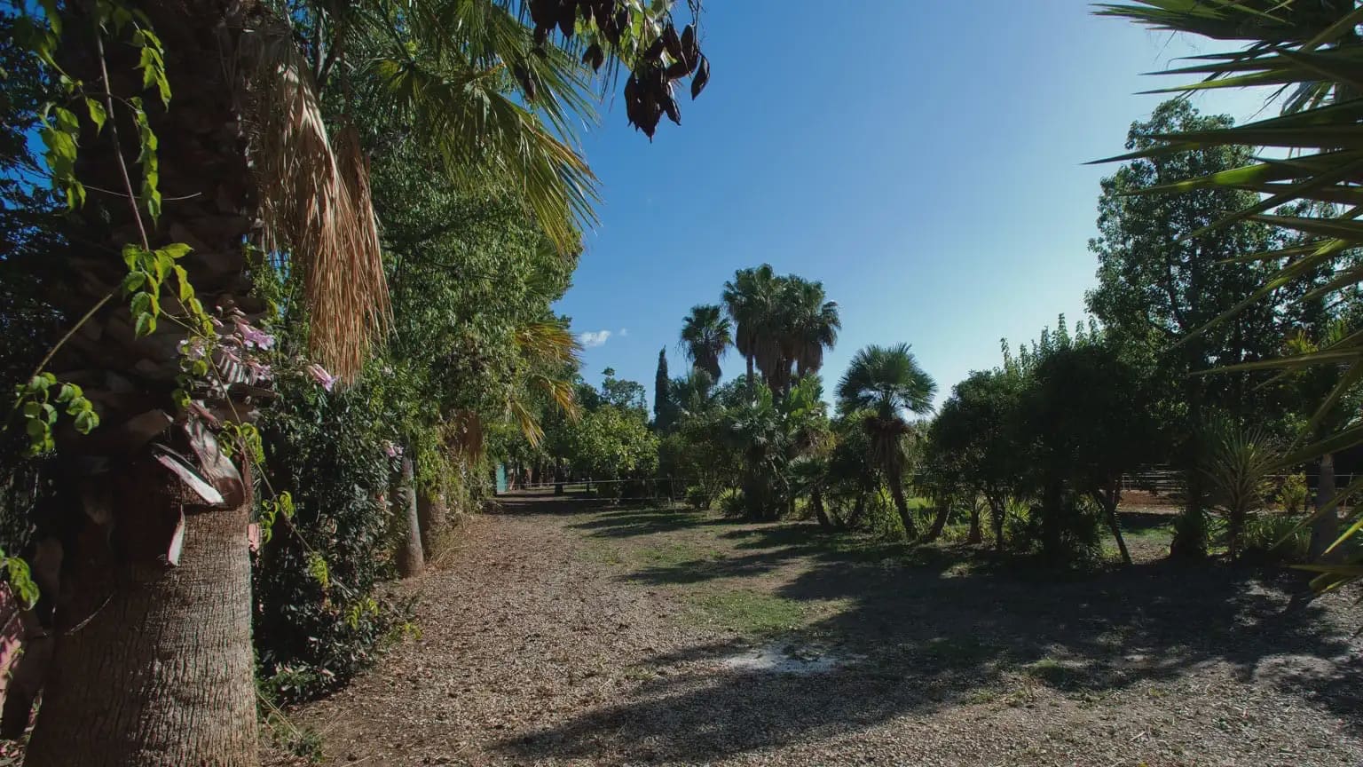 Finca/Landhuis te koop in Cancelada - € 799.000 (Ref: 10016641)