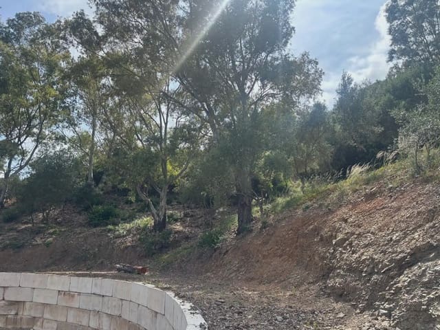 Terreno/Finca Rústica en Sierra de Estepona - Avda. de Andalucía, Estepona en venta - 188.000 € (Ref: 10016645)