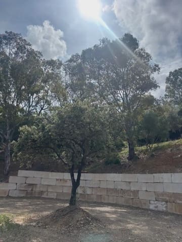 Terreno/Finca Rústica en Sierra de Estepona - Avda. de Andalucía, Estepona en venta - 188.000 € (Ref: 10016645)