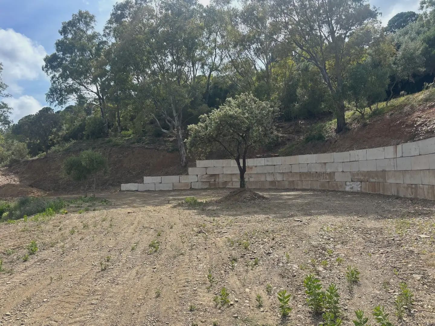 Terreno/Finca Rústica en Estepona en venta - 188.000 € (Ref: 10016645)