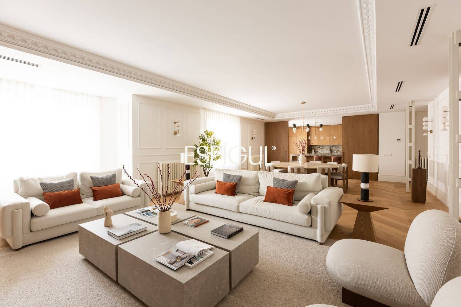 5 slaapkamer Flat te koop in Madrid stad met garage - € 7.900.000 (Ref: 10016230)