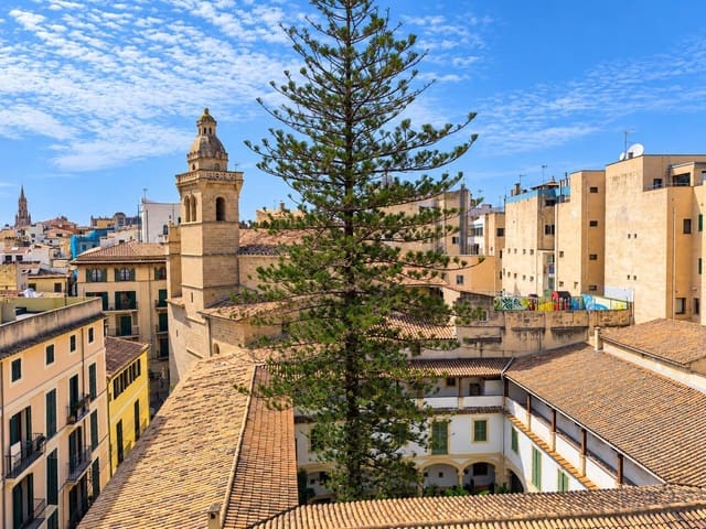 3 makuuhuone Asunto myytävänä paikassa El Mercat, Palma de Mallorca - 487 000 € (Ref: 10139843)