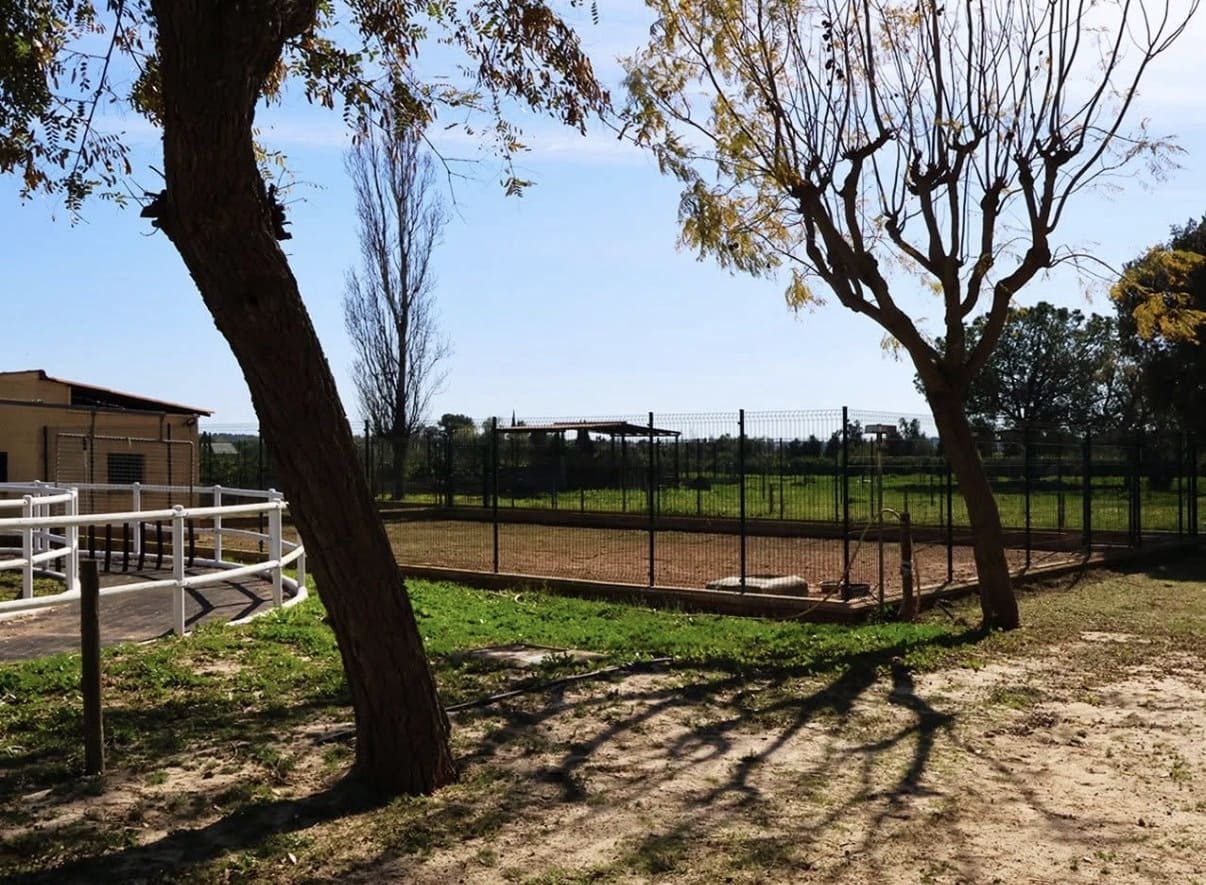 7 Zimmer Finca/Landgut zu verkaufen in Betera mit Pool - 1.500.000 € (Ref: 10019768)