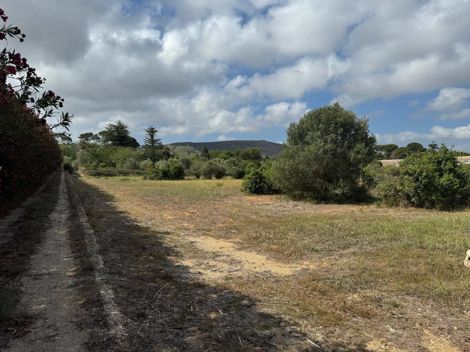 11 bedroom Finca/Country House for sale in Denia - € 1,700,000 (Ref: 10019770)