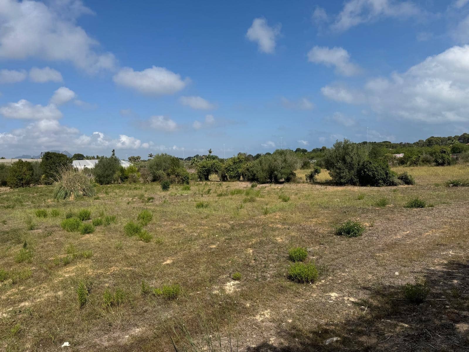 11 bedroom Finca/Country House for sale in Denia - € 1,700,000 (Ref: 10019770)