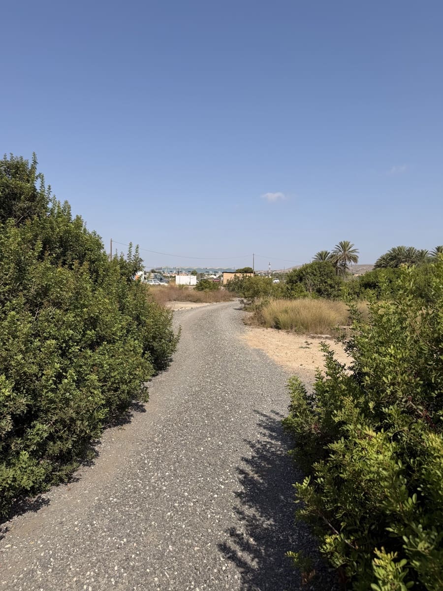 Undeveloped Land for sale in Alicante / Alacant city - € 100,000 (Ref: 10019771)