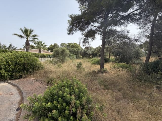 Terrain à Bâtir à vendre à Montgó - Ermita, Javea / Xàbia - 295 000 € (Ref: 10019774)