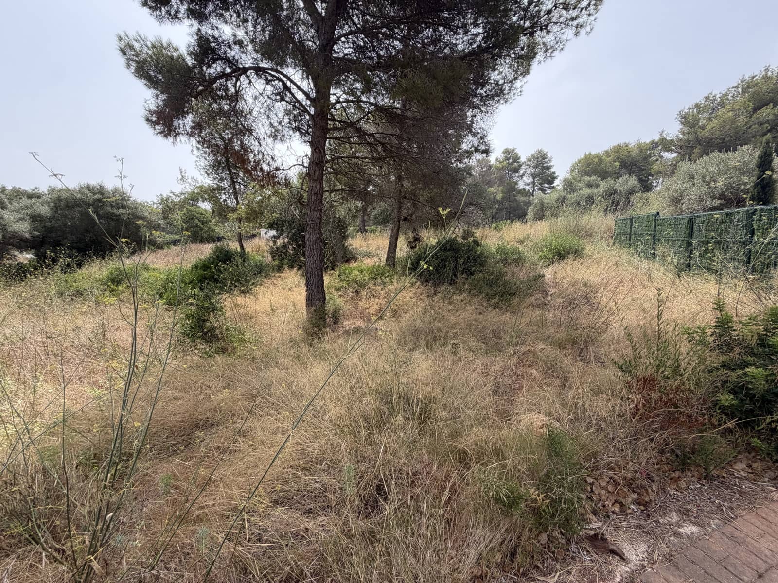 Terrain à Bâtir à vendre à Javea / Xabia - 295 000 € (Ref: 10019774)