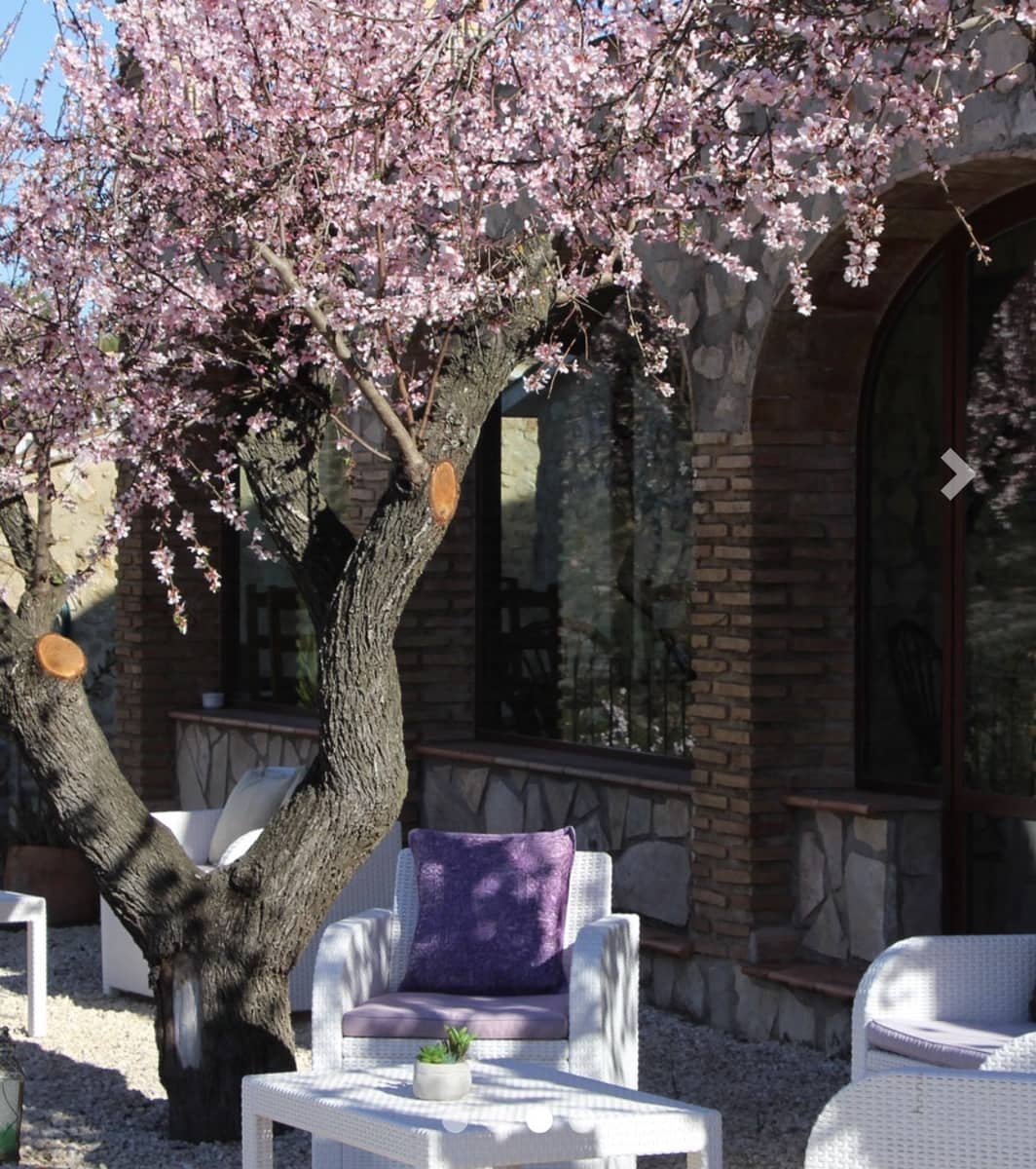 14 bedroom Commercial for sale in Lliber with pool - € 3,500,000 (Ref: 10019775)