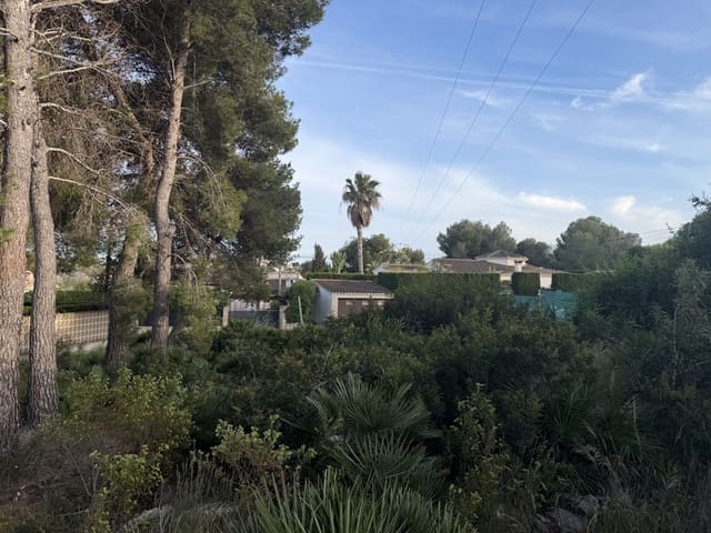 Terreno para Construção para venda em Montgó - Ermita, Javea / Xàbia - 155 000 € (Ref: 10019781)
