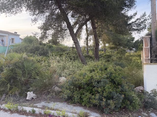 Terreno para Construção para venda em Montgó - Ermita, Javea / Xàbia - 155 000 € (Ref: 10019781)