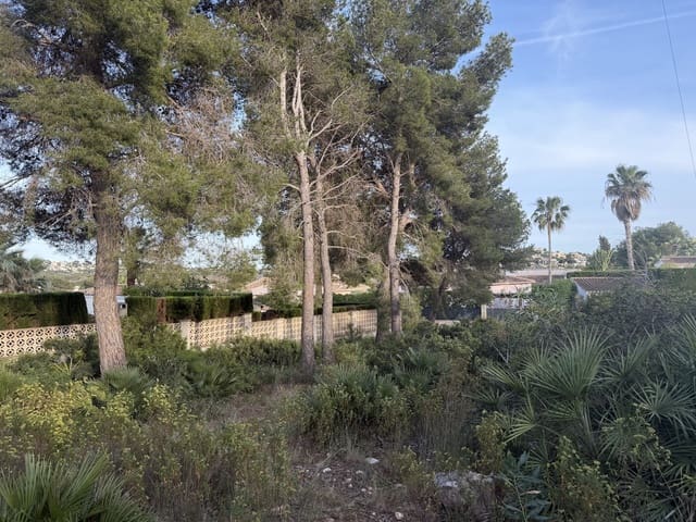 Terreno para Construção para venda em Montgó - Ermita, Javea / Xàbia - 155 000 € (Ref: 10019781)