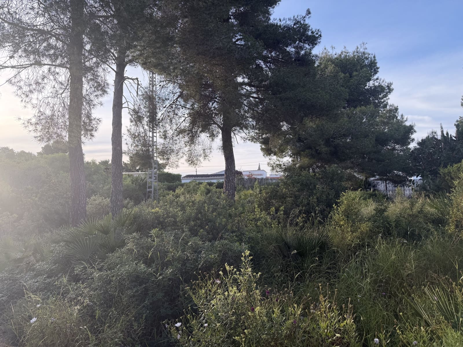 Solar/Parcela en Javea / Xàbia en venta - 155.000 € (Ref: 10019781)