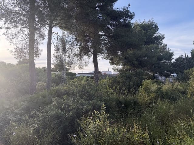 Terreno para Construção para venda em Montgó - Ermita, Javea / Xàbia - 155 000 € (Ref: 10019781)