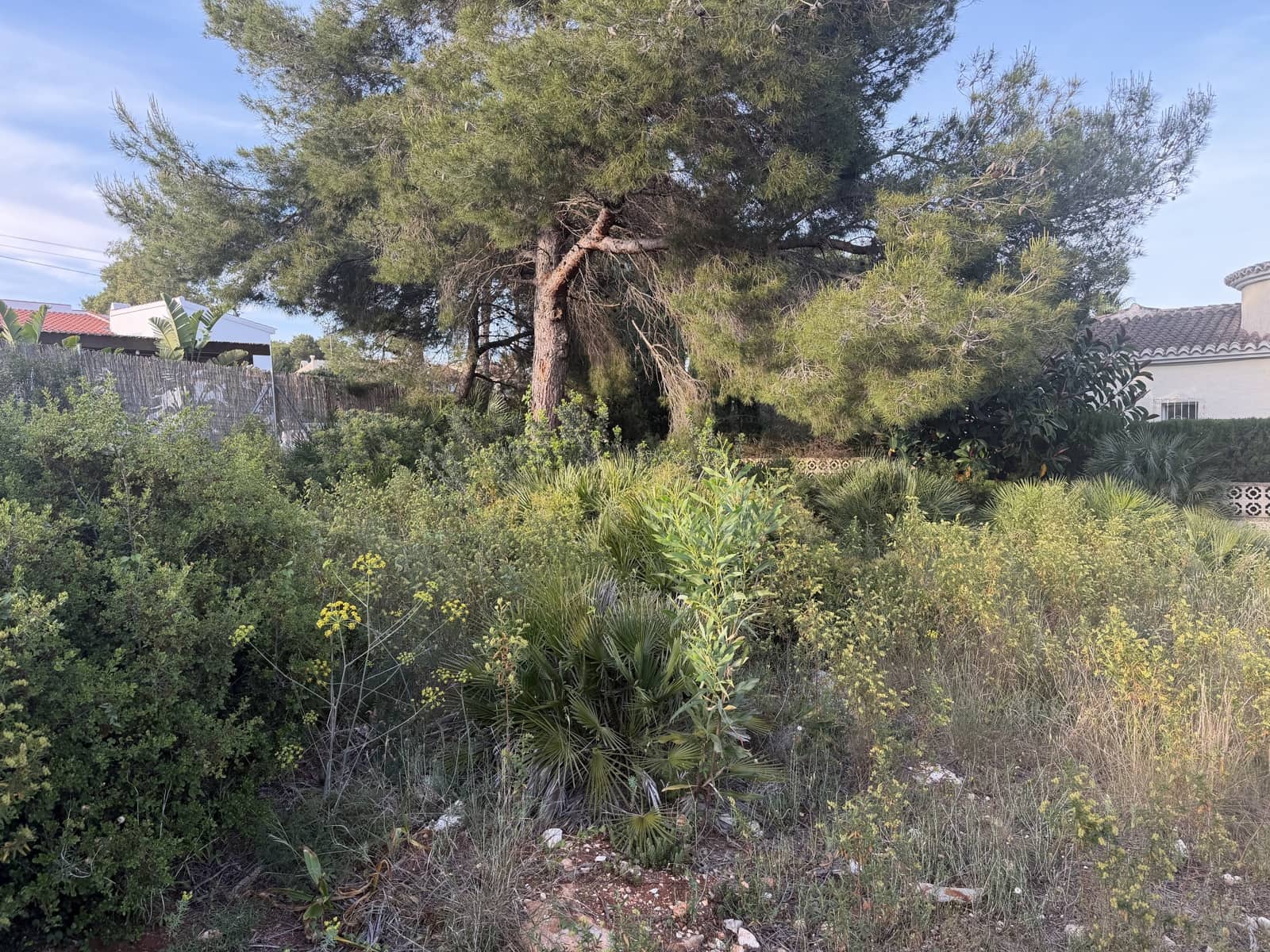 Solar/Parcela en Javea / Xàbia en venta - 155.000 € (Ref: 10019781)