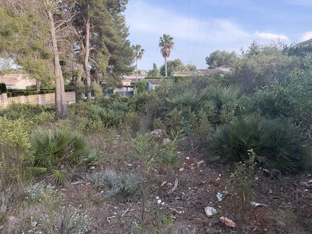 Terreno para Construção para venda em Montgó - Ermita, Javea / Xàbia - 155 000 € (Ref: 10019781)